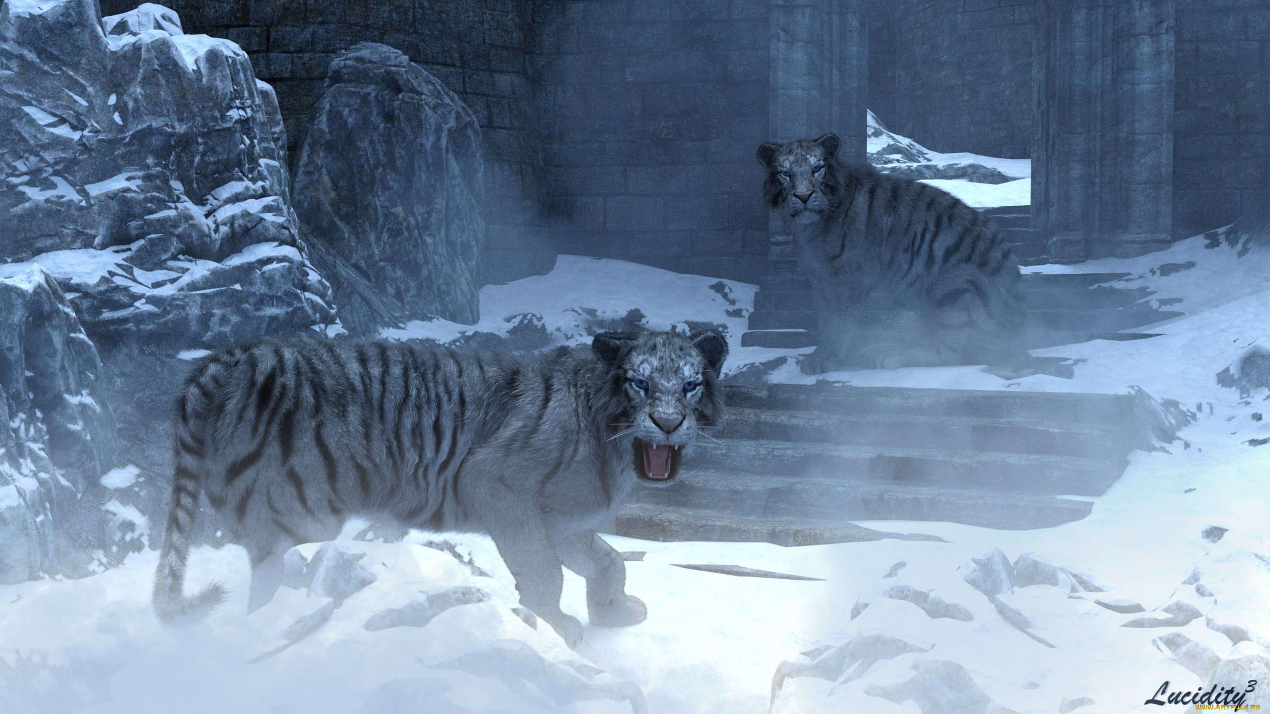 3 ,  , animals, 